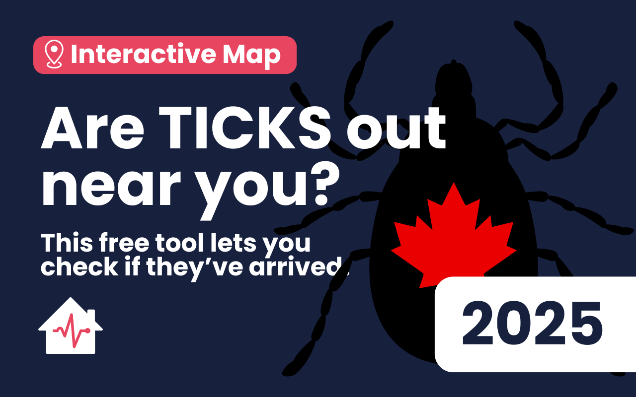 Is Tick Season at Your Cabin Yet? Here's How to Check