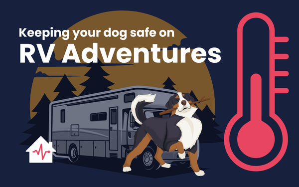 Keeping Your Dog Safe on RV Adventures